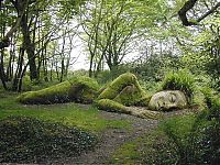 garden design ideas