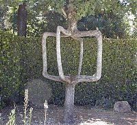 TopRq.com search results: garden design ideas