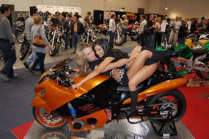 Moto GP girls