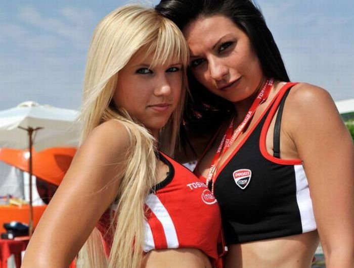 Moto GP girls