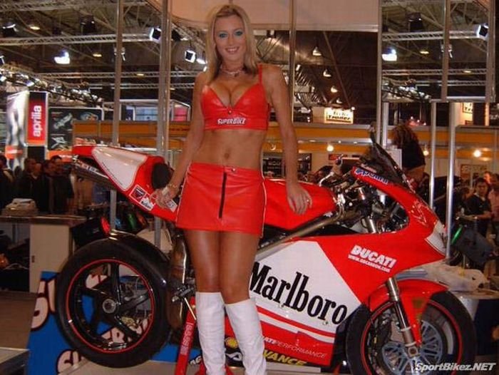 Moto GP girls