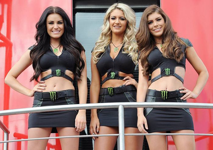 monster energy grid girls