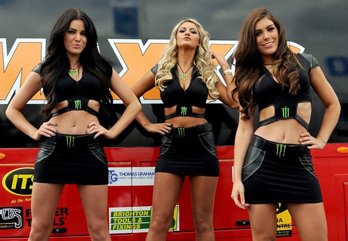 monster energy grid girls