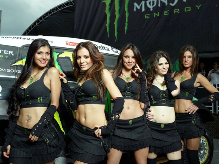 monster energy grid girls