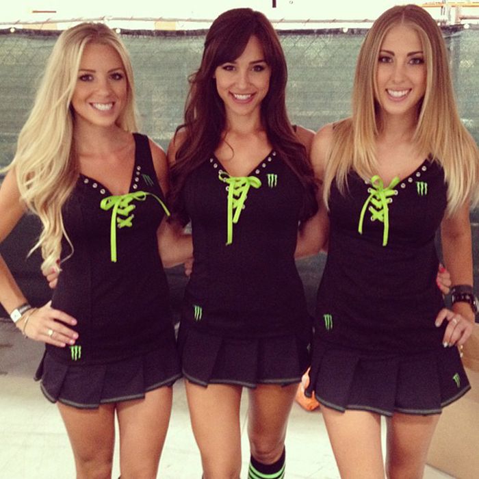 monster energy grid girls