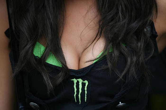 monster energy grid girls