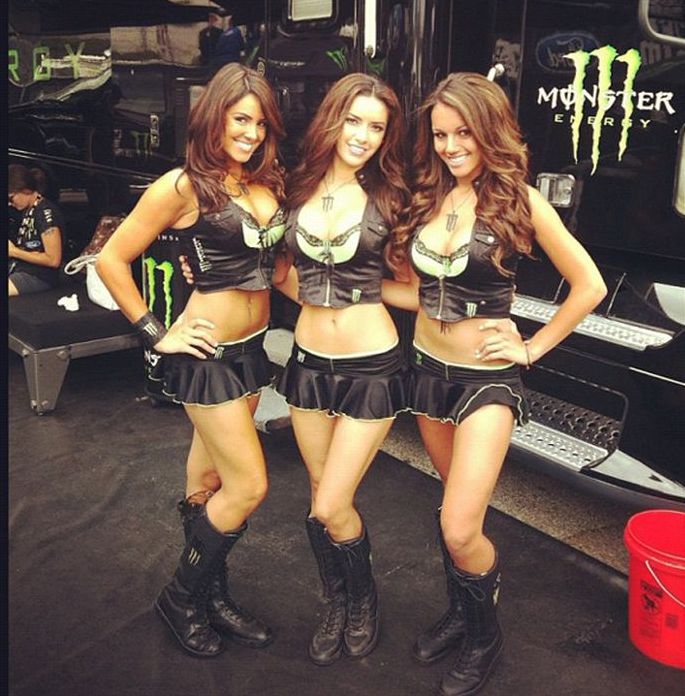 monster energy grid girls