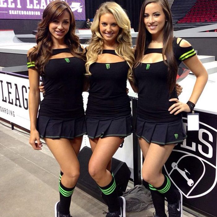 monster energy grid girls