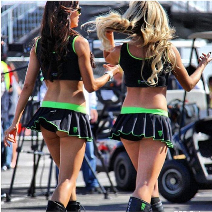 monster energy grid girls