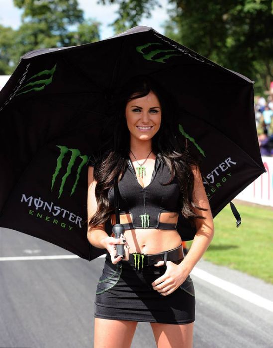 monster energy grid girls