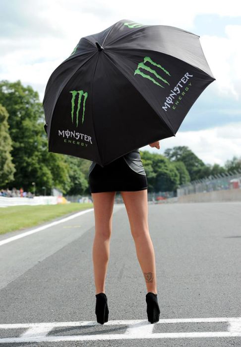 monster energy grid girls