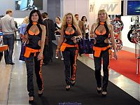 Motorsport models: auto motor show girl