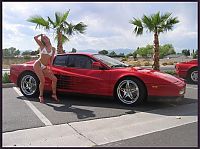 TopRq.com search results: car babes