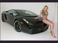 TopRq.com search results: car babes