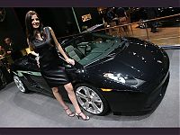 TopRq.com search results: car babes