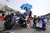 Motorsport models: Yamaha pit babes, Miss Yamaha 2009