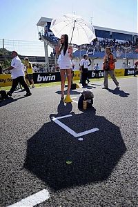 Motorsport models: f1 grid girls