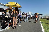 Motorsport models: f1 grid girls