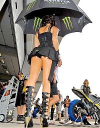 Motorsport models: f1 grid girls