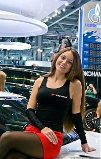 TopRq.com search results: girls of moscow international automobile show