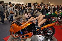 Motorsport models: Moto GP girls