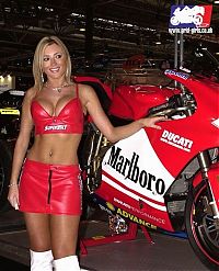 Motorsport models: Moto GP girls