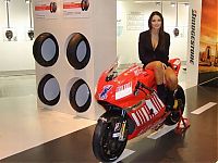 TopRq.com search results: Moto GP girls