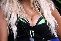 TopRq.com search results: monster energy grid girls