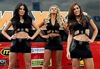 Motorsport models: monster energy grid girls