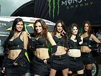 TopRq.com search results: monster energy grid girls