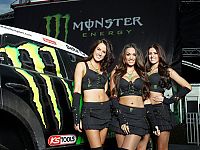 TopRq.com search results: monster energy grid girls