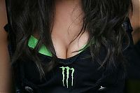 Motorsport models: monster energy grid girls