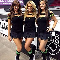 Motorsport models: monster energy grid girls