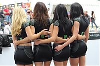 TopRq.com search results: monster energy grid girls