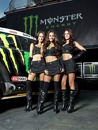 Motorsport models: monster energy grid girls