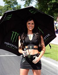 TopRq.com search results: monster energy grid girls