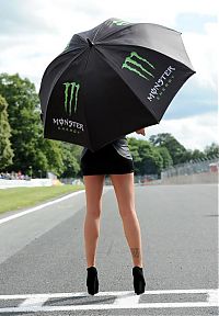 TopRq.com search results: monster energy grid girls