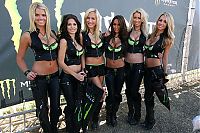 TopRq.com search results: monster energy grid girls