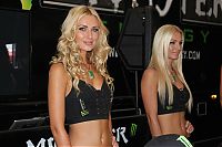 Motorsport models: monster energy grid girls