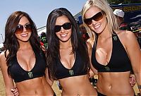 Motorsport models: monster energy grid girls