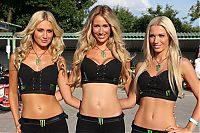 Motorsport models: monster energy grid girls