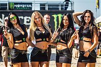 TopRq.com search results: monster energy grid girls