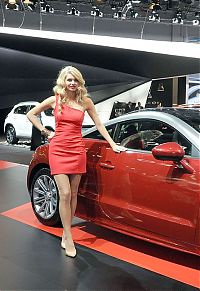 TopRq.com search results: girls of moscow international automobile show