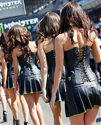 TopRq.com search results: monster energy grid girls