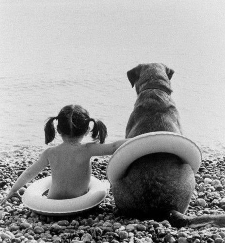 Photo of the Day