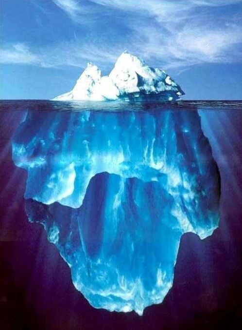 Photo of the Day