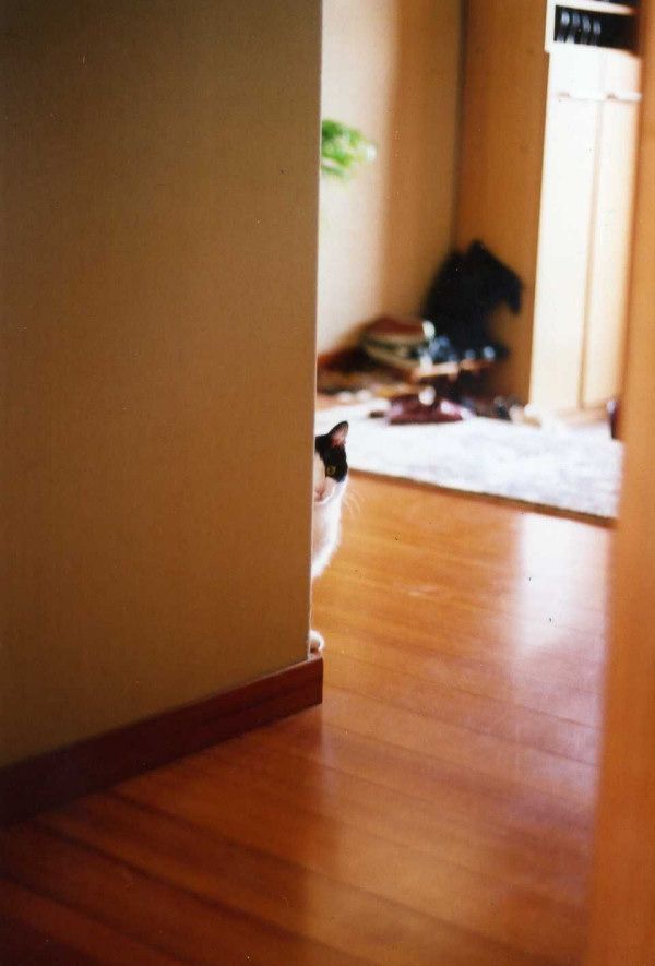 Photo of the Day