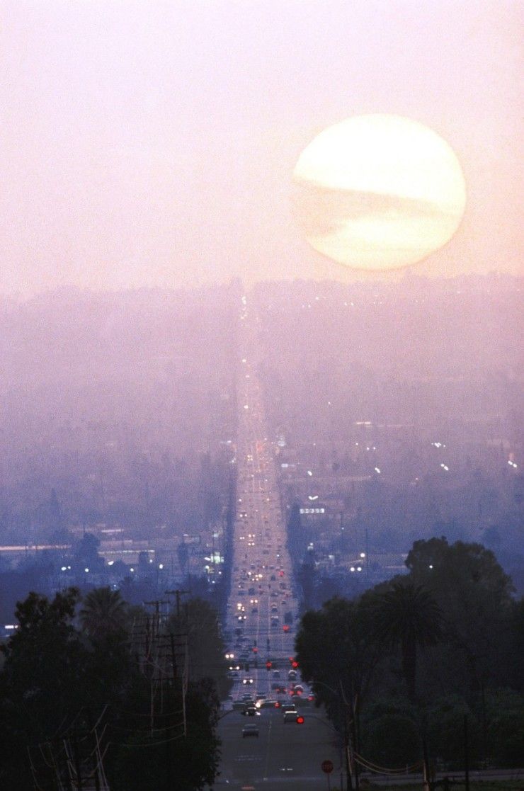 Photo of the Day