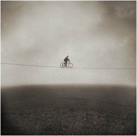 Photo of the Day