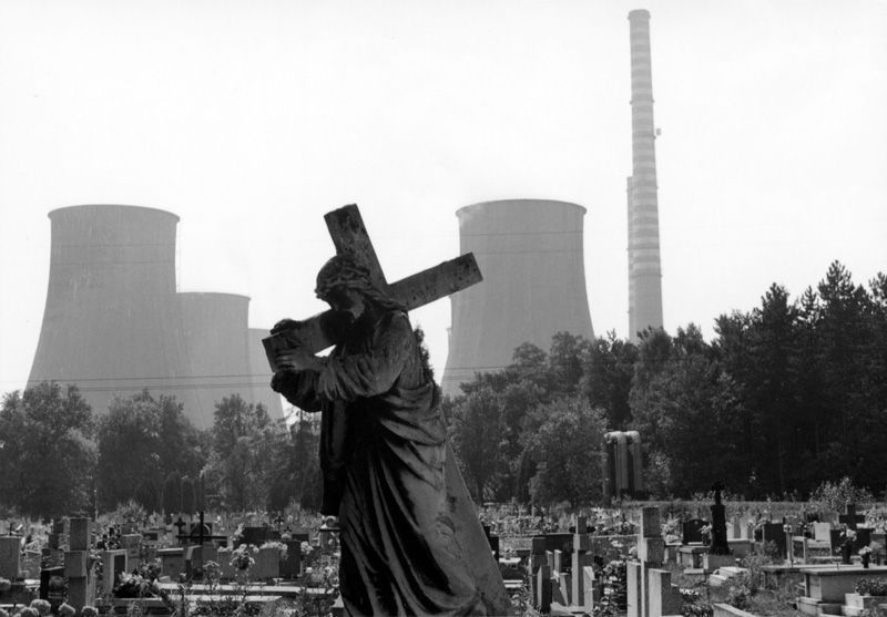 Photo of the Day